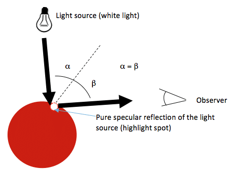 Perceived color based on the observer